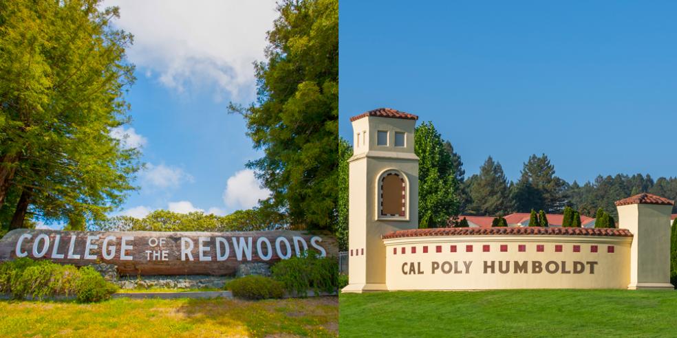 Cal Poly Humboldt Ranking: Top College Choice