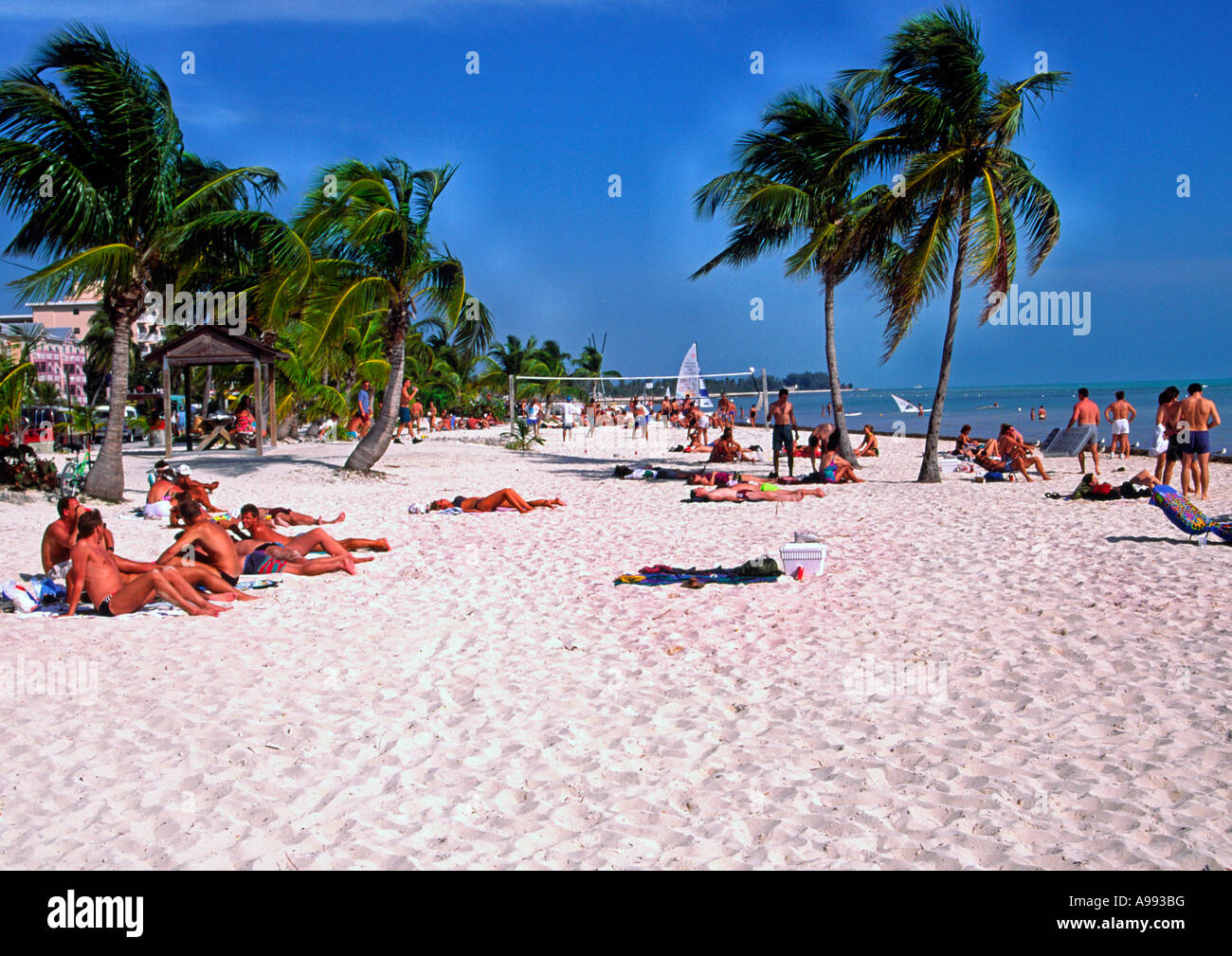 Key West Higgs Beach Florida Keys Editorial Stock Image Image Of