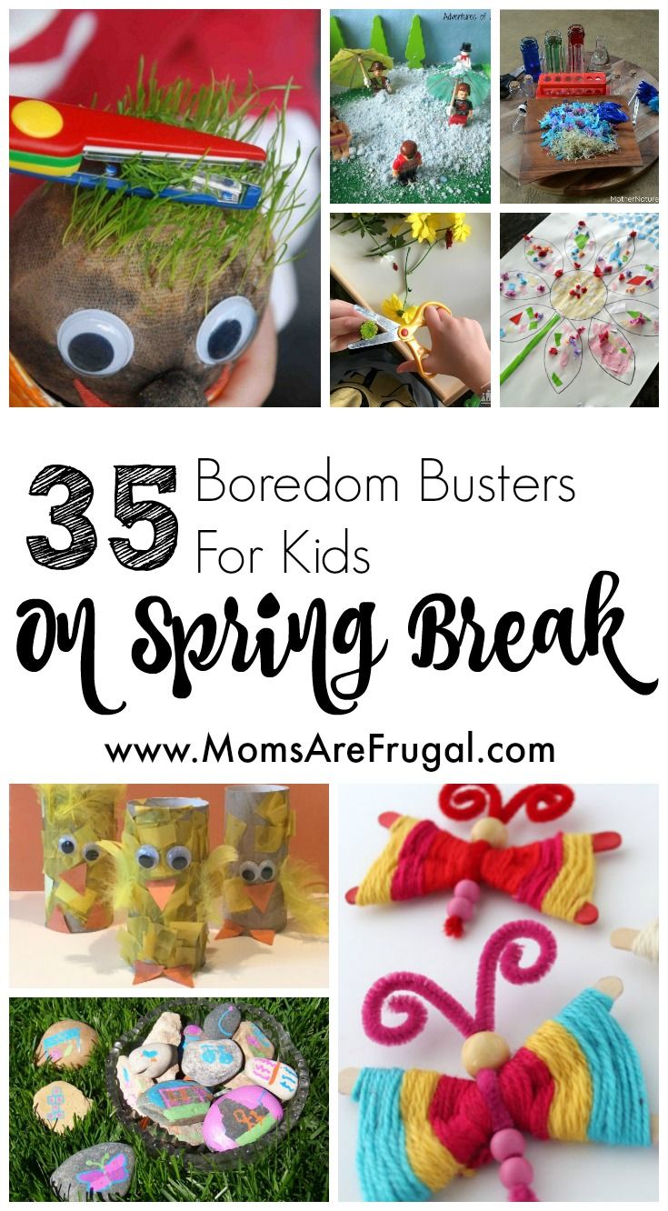 Spring Break: Fun Activities For Families